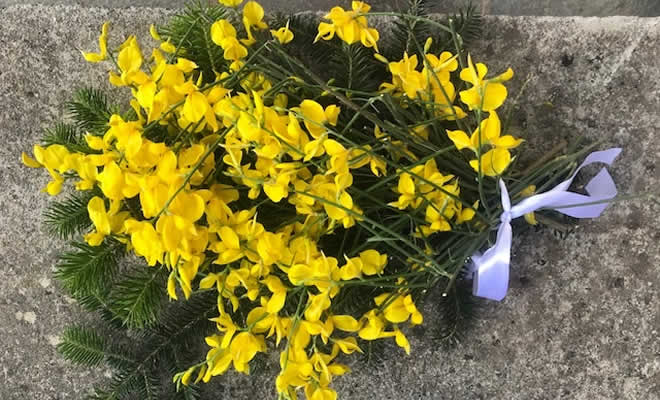 Μια αγκαλιά λουλούδισ από την Γεωργία Κακούρου-Χρόνη για τον Γιάννη Τριήρη