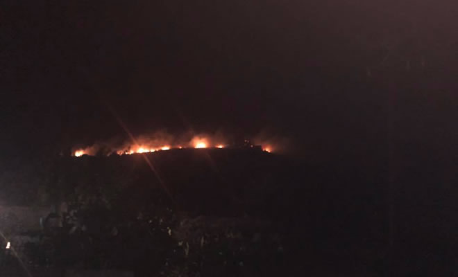 Σε ύφεση η πυρκαγιά στην περιοχή Κελεφά Οιτύλου στη Μάνη - Update