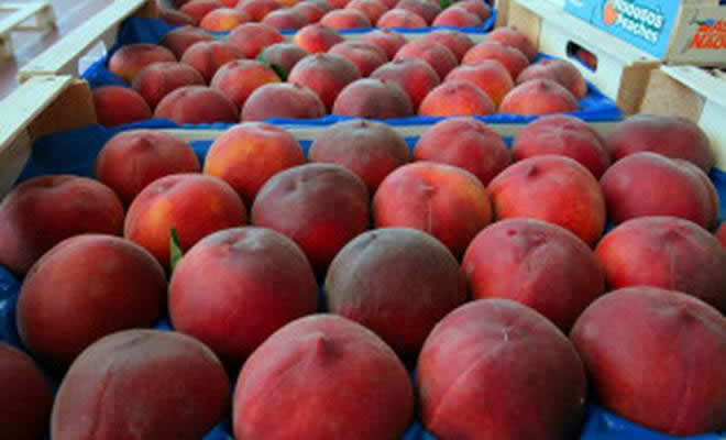 Διανομή φρούτων από την Περιφερειακή Ενότητα Λακωνίας