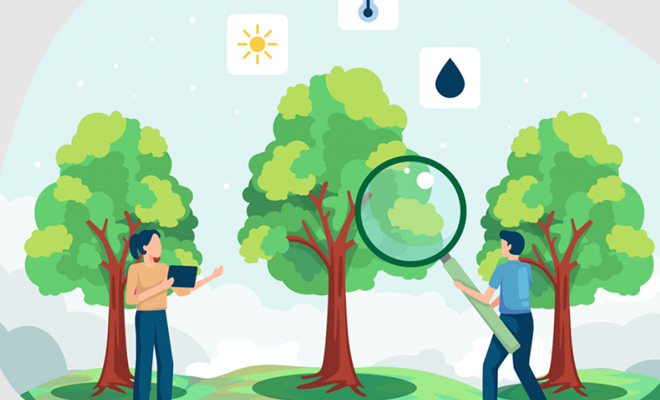 Ενημερωτική εκδήλωση για την πρόγνωση του κινδύνου ζημιών από παγετό στα εσπεριδοειδή