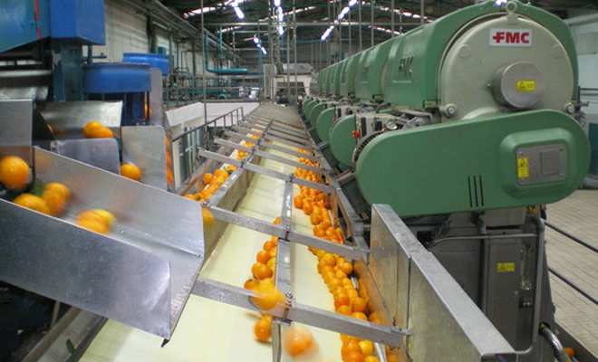 Παραγωγοί Πορτοκαλιών: Μόνο στα εγκεκριμένα χυμοποιεία για να δικαιούσθε ενίσχυση