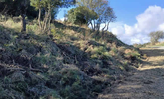 Ενίσχυση Πυροπροστασίας κατοικημένων περιοχών με δημιουργία 18 Αντιπυρικών Ζωνών