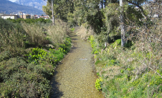 «Δήμος Σπάρτης: Φυσικό Περιβάλλον – Προτάσεις», από τον Βαγγέλη Μητράκο