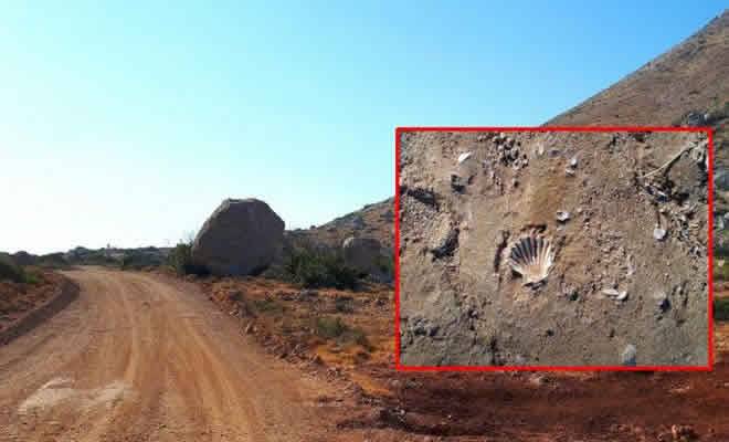 Ο χωματόδρομος με τα απολιθωμένα κοχύλια. Το προϊστορικό μυστικό της Λακωνίας δείχνει που ήταν η στάθμη της θάλασσας πριν από εκατομμύρια χρόνια