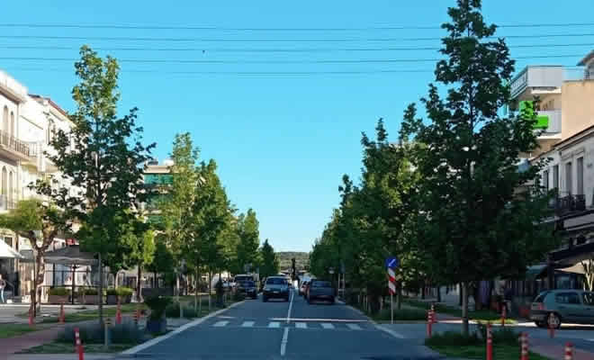 Τα παραμύθια της Παλαιολόγου: «Φύγετε πλατάνια, ελάτε ξανά φοίνικες…» από τον Γιώργο Κεραμιδά