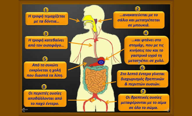 Ο Δήμος Σπάρτης συμμετέχει στο πρόγραμμα «Το Ταξίδι της Τροφής»