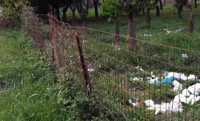 «Σπάρτη Πόλη - Δήμος: Περιβάλλον και σκουπίδια», από την Ελένη Παπατσώρη